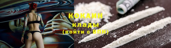 ГАЛЛЮЦИНОГЕННЫЕ ГРИБЫ Абаза