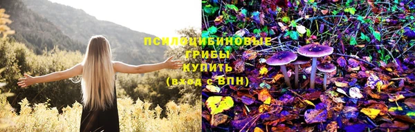 ГАЛЛЮЦИНОГЕННЫЕ ГРИБЫ Абаза