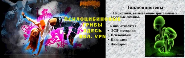 ГАЛЛЮЦИНОГЕННЫЕ ГРИБЫ Абаза