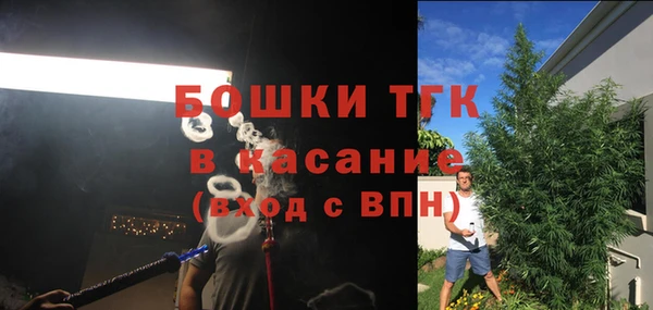 прущие грибы Михайлов