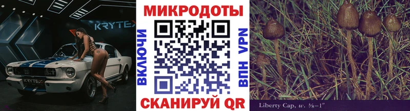 Галлюциногенные грибы мухоморы  Ялта 