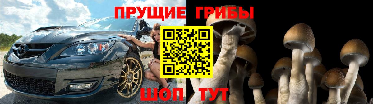 Псилоцибиновые грибы прущие грибы Ялта